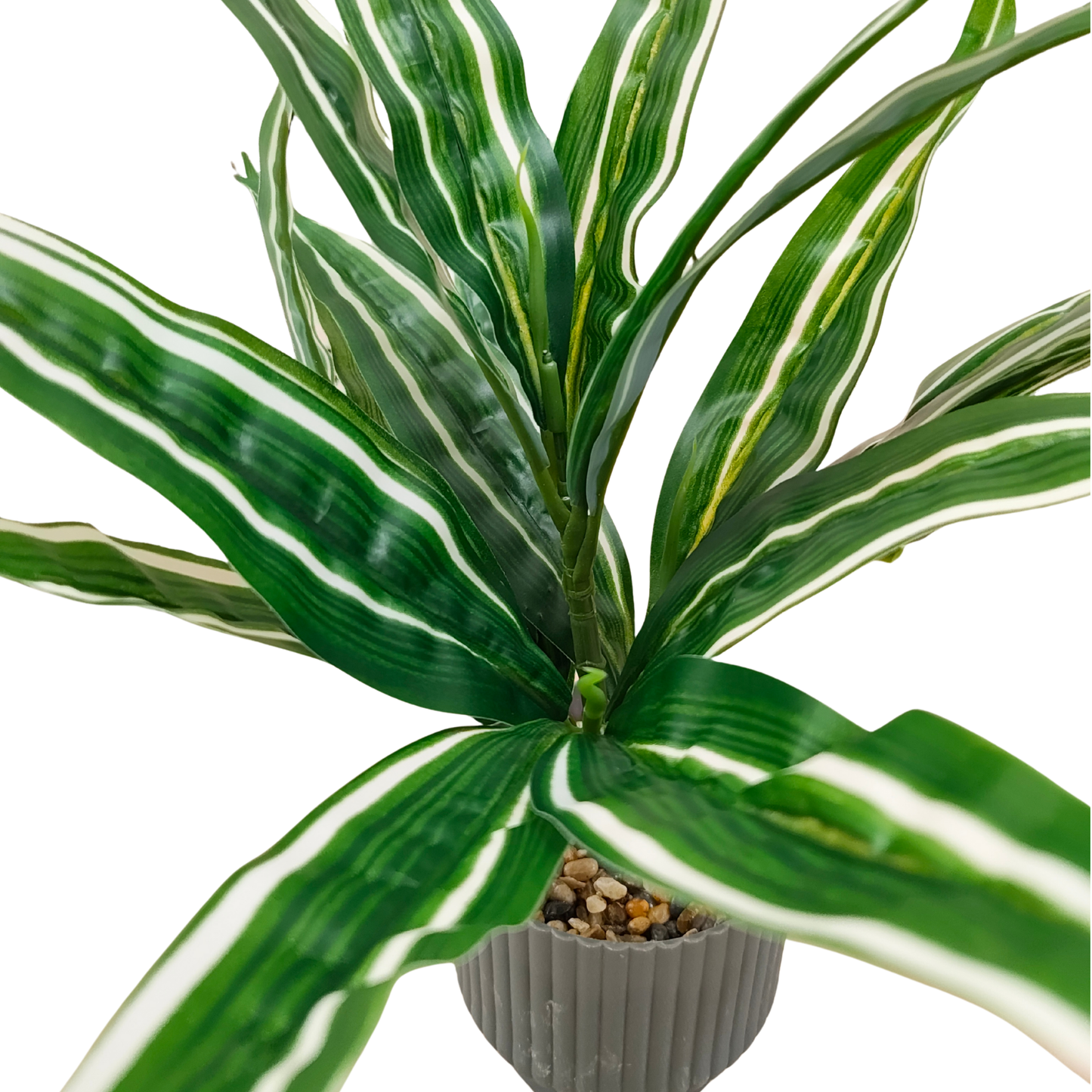 Realistic Variegated Dracaena Plant in Modern Fluted Gray Pot - No Maintenance Decor