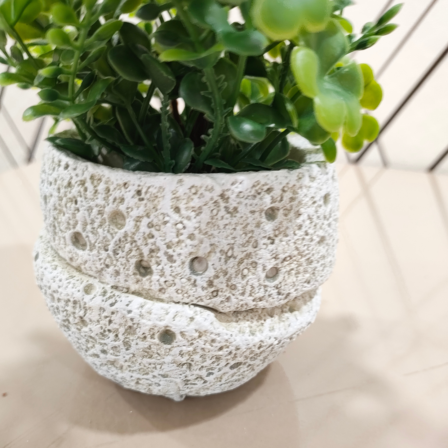 "Eternal Bloom" Luxe Magnolia & Succulent Sculpture: Housed in a Bespoke Textured Cocoon Cachepot