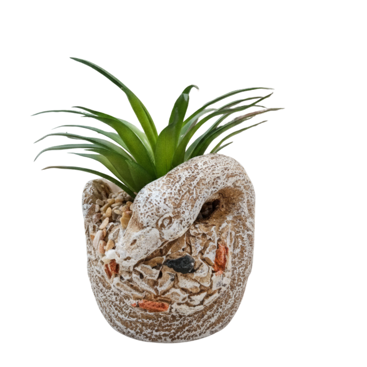 "Serpent's Embrace" Artisan Sculptural Planter: Hand-Textured Vessel with Luxe Perpetual Succulent