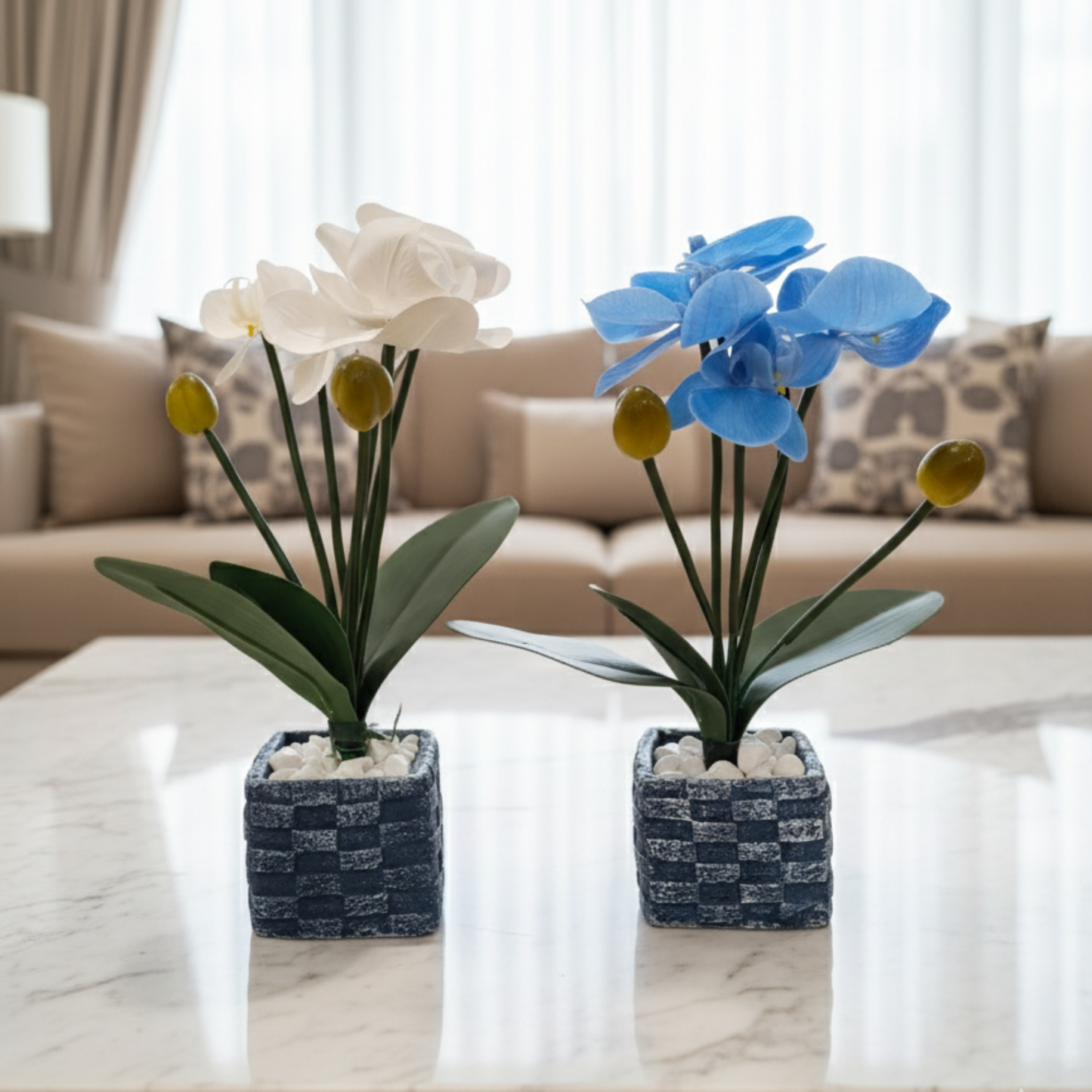 "Azure Tranquility" Luxe Phalaenopsis Orchid: Bespoke Checkered Cachepot with Polished River Stones