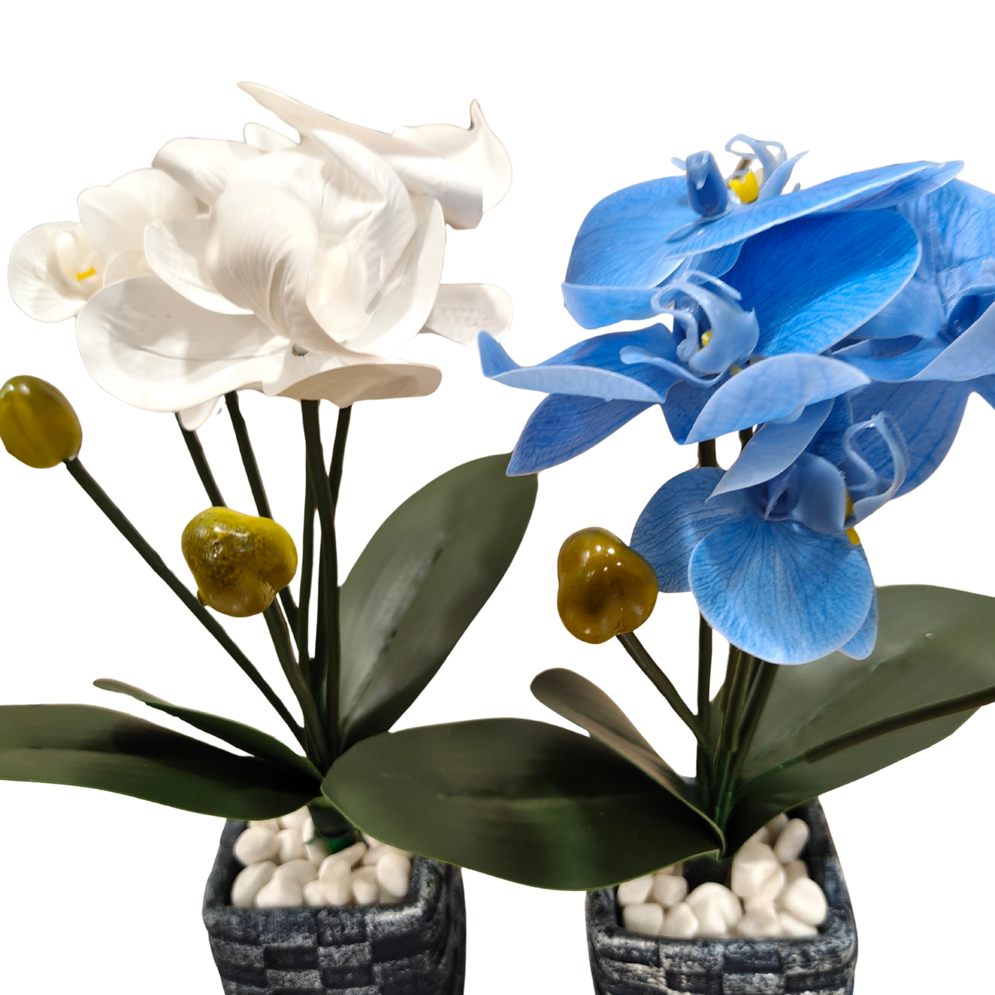 "Zen Orchid Duet" Luxe Phalaenopsis Pair: Artisan Woven-Texture Cachepots with Perpetual Contrast