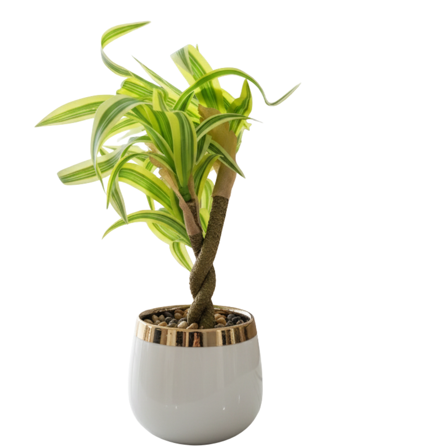"Golden Horizon" Luxe Faux Lucky Bamboo: Elegant Twisted Trunk in a Gilded Modernist Cachepot