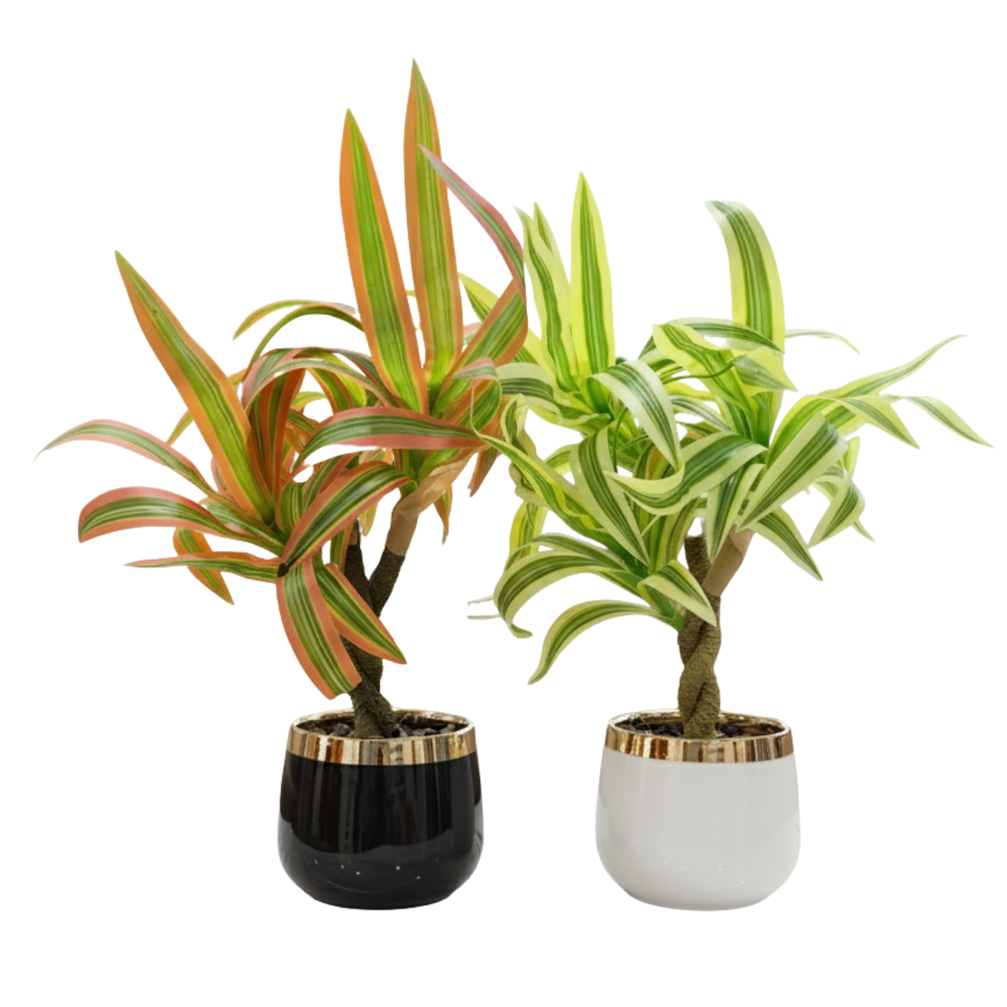 "Duet of Elysian Dracaena" Luxe Faux Plant Pair: Gilded Modernist Cachepots with Striking Perpetual Contrast
