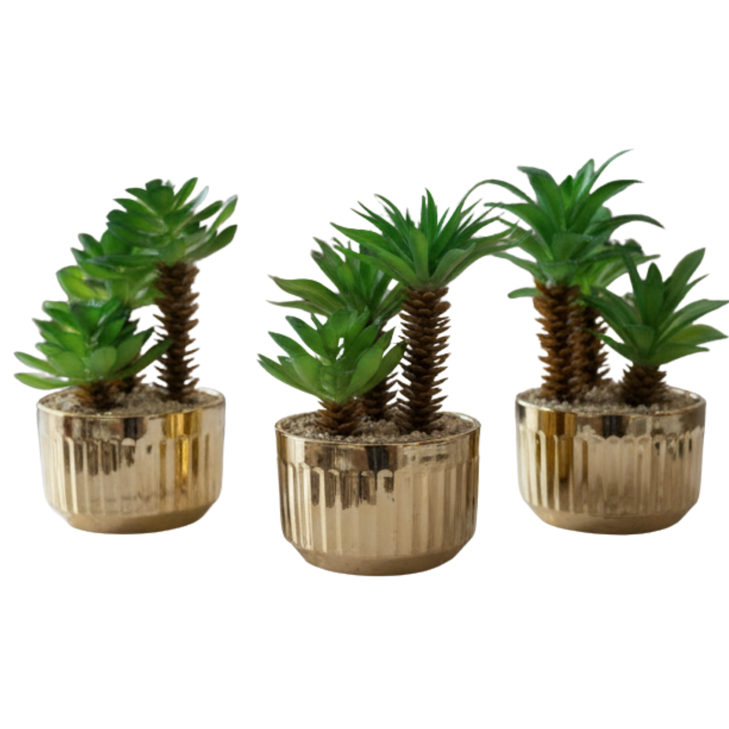 "Desert Oasis" Gilded Palm Trio: Bespoke Fluted Gold Vessels with Luxe Perpetual Succulents