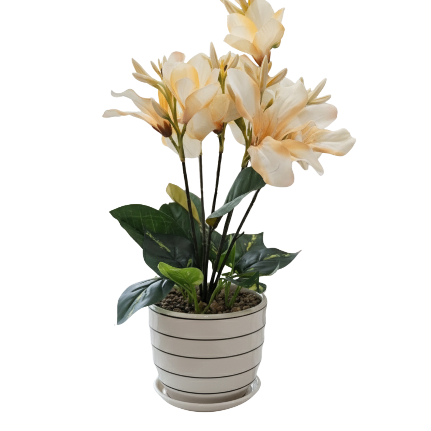 "Whispering Magnolia" Luxe Faux Floral Arrangement: Modernist Striped Cachepot with Perpetual Bloom