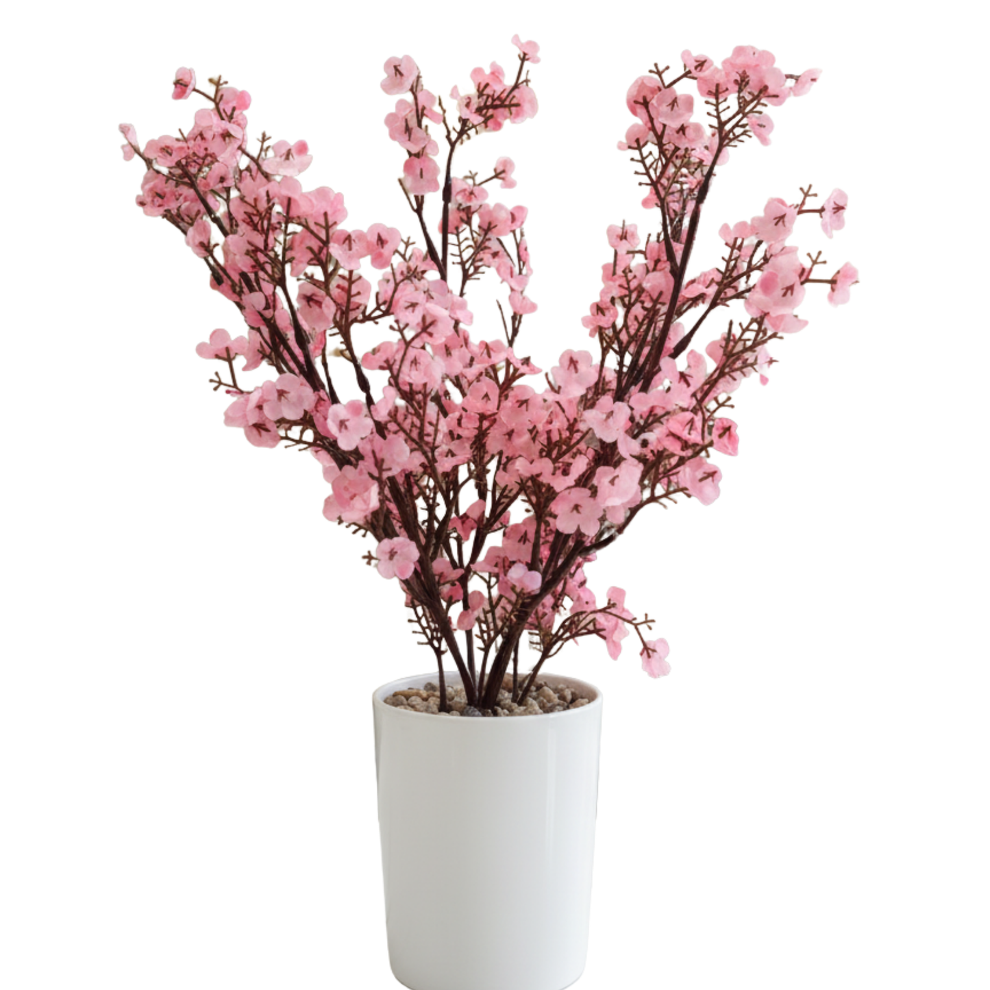 "Sakura Serenity" Luxe Cherry Blossom Arrangement: Modernist Pure White Cachepot for Perpetual Spring