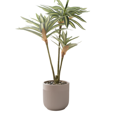 Realistic Artificial Striped Dracaena Plant in Fluted Ceramic Pot - Modern Faux Indoor Decor