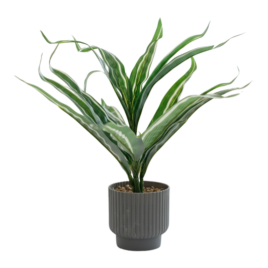 Realistic Variegated Dracaena Plant in Modern Fluted Gray Pot - No Maintenance Decor