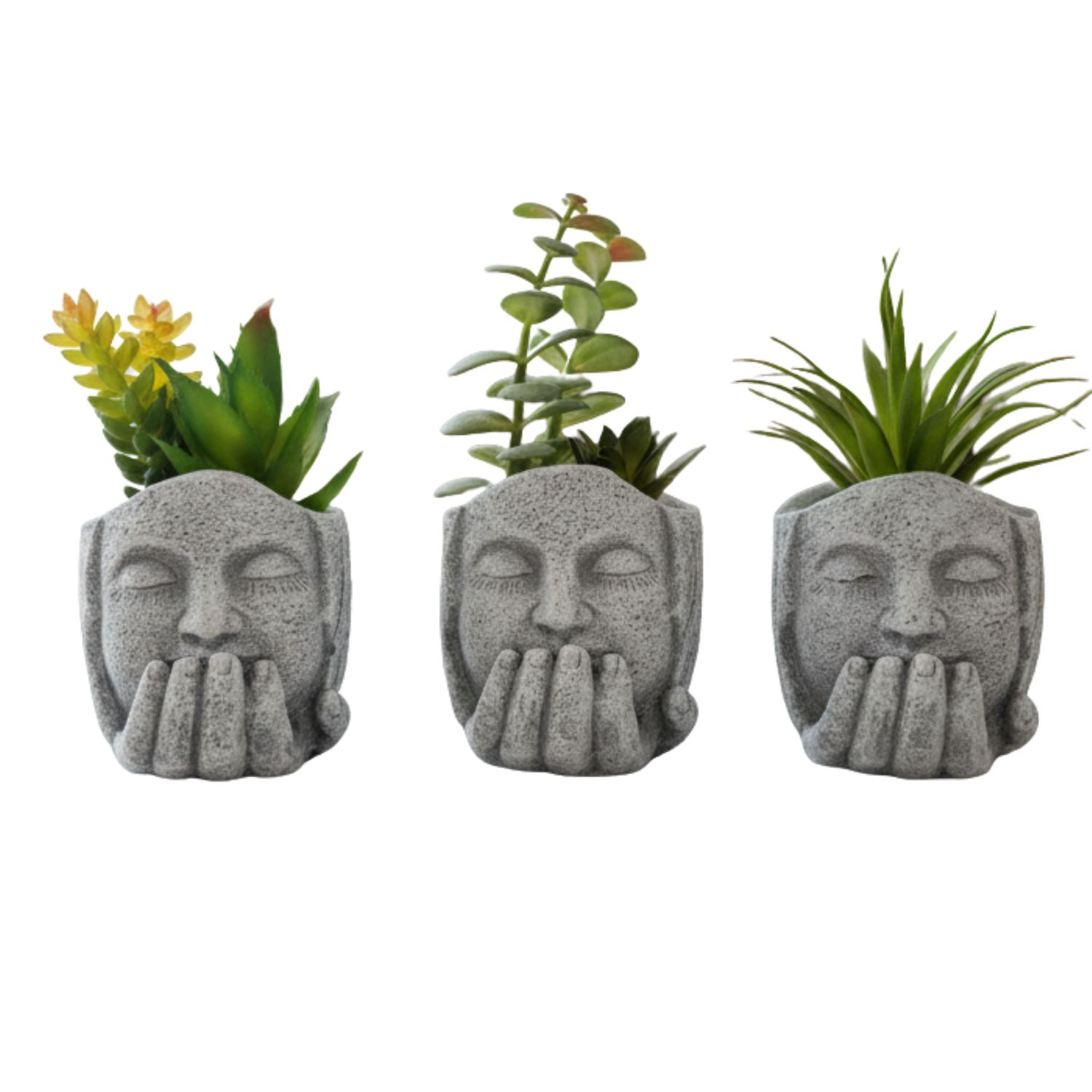 "Silent Wisdom" Artisanal Planter Trio: Hand-Cast Zen Sculptural Vessels with Luxe Perpetual Succulents