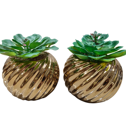 Gilded Helix Succulent Duo: Bespoke Perpetual Botanicals in Sculptural Modernist Cachepots
