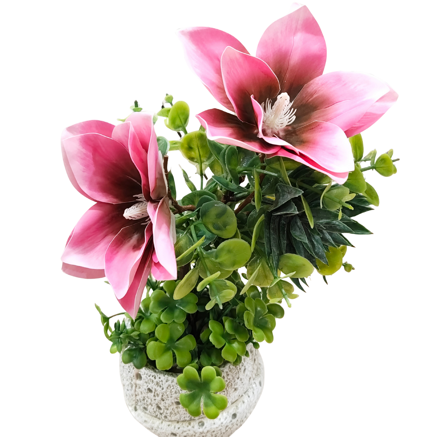 "Eternal Bloom" Luxe Magnolia & Succulent Sculpture: Housed in a Bespoke Textured Cocoon Cachepot
