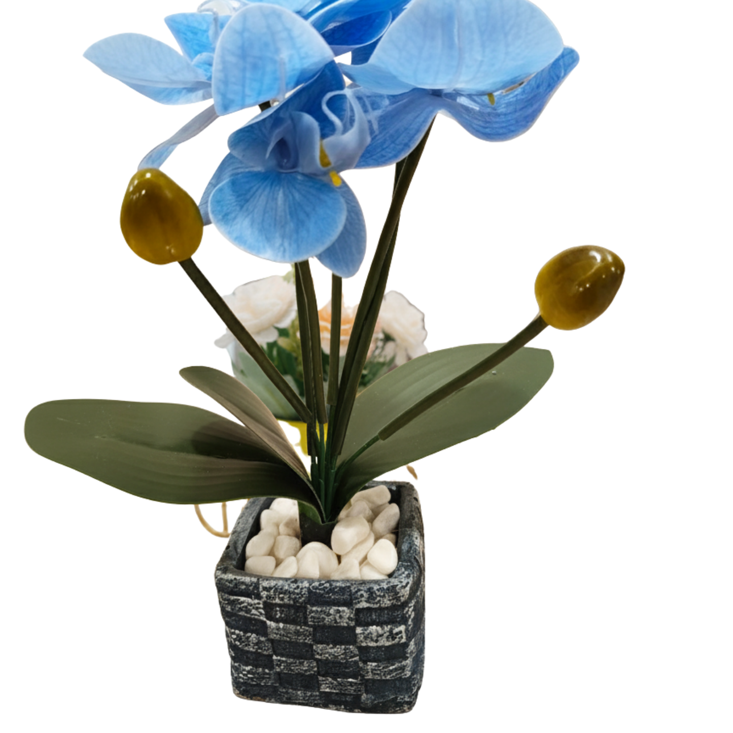 "Azure Tranquility" Luxe Phalaenopsis Orchid: Bespoke Checkered Cachepot with Polished River Stones