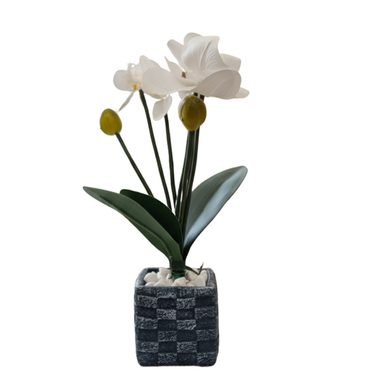 "Zen Orchid Elegance" Faux Phalaenopsis: Bespoke Chessboard-Textured Cachepot with Luxe White Stones