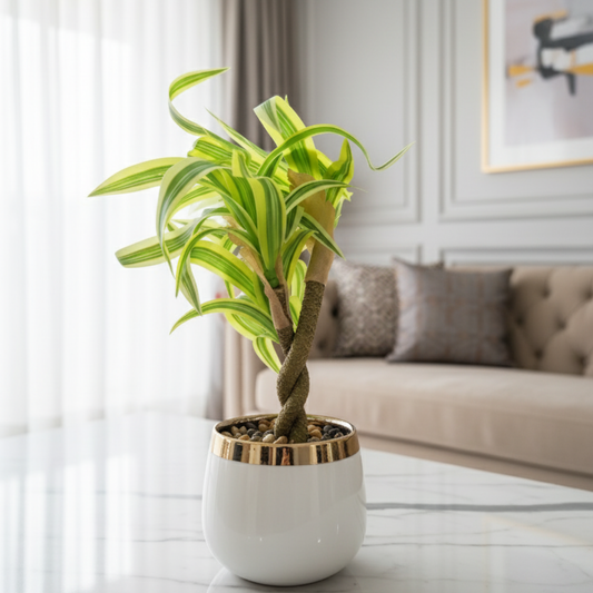 "Golden Horizon" Luxe Faux Lucky Bamboo: Elegant Twisted Trunk in a Gilded Modernist Cachepot