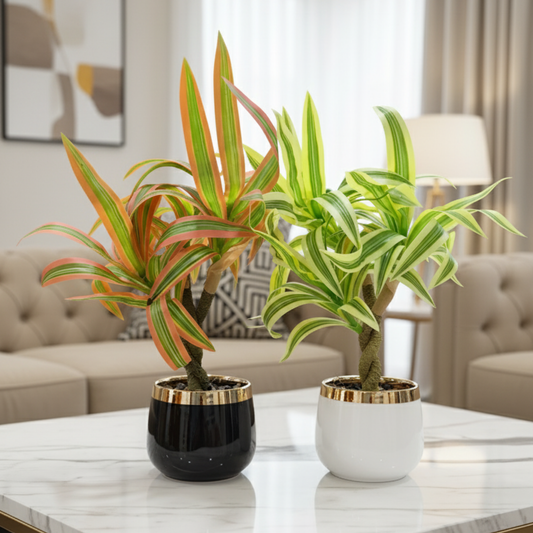 "Duet of Elysian Dracaena" Luxe Faux Plant Pair: Gilded Modernist Cachepots with Striking Perpetual Contrast