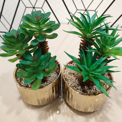 "Gilded Eden" Luxe Succulent Duo: Bespoke Fluted Gold Cachepots with Perpetual Desert Botanicals