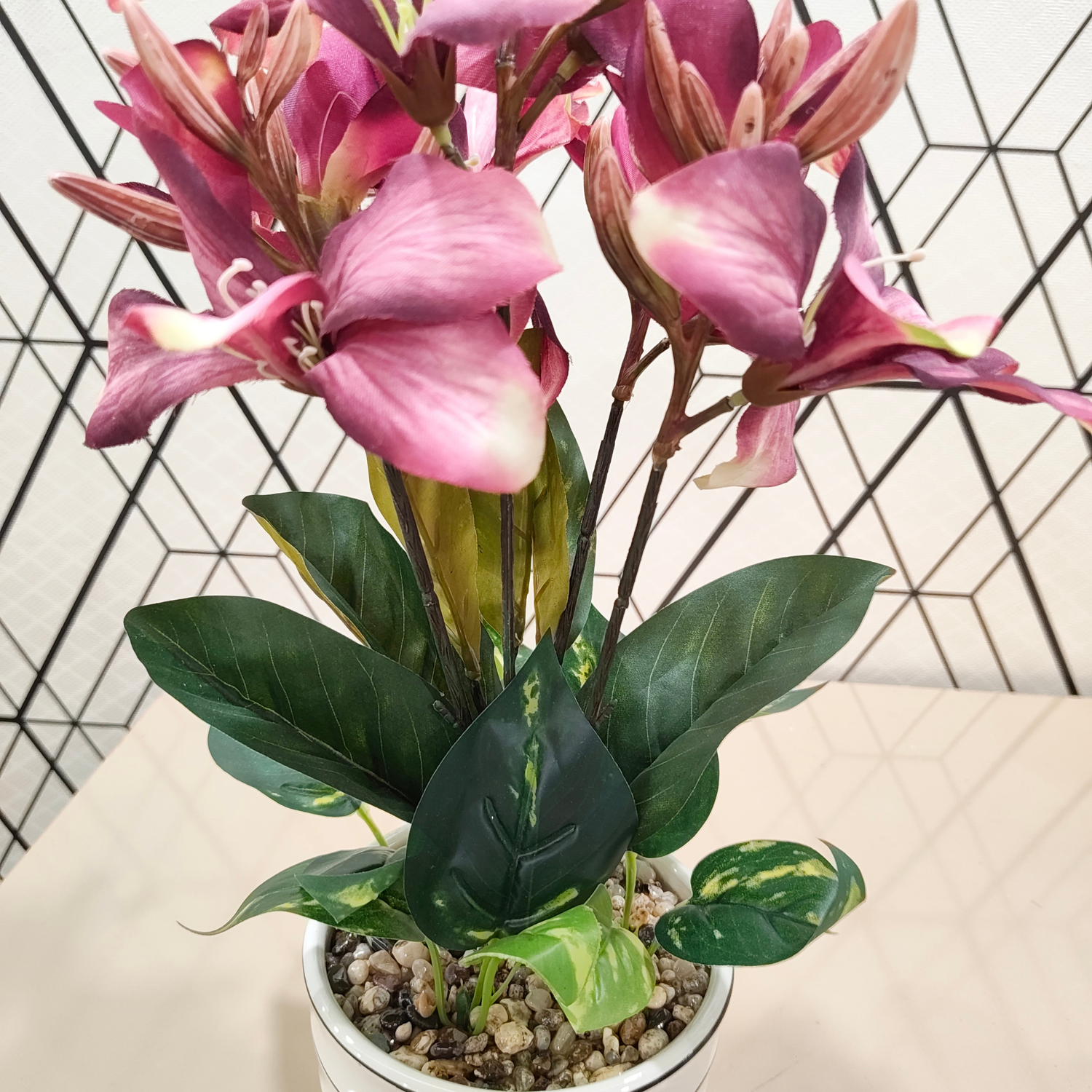 "Crimson Zenith" Luxe Orchid & Foliage Arrangement: Modernist Striped Cachepot with Perpetual Blooms