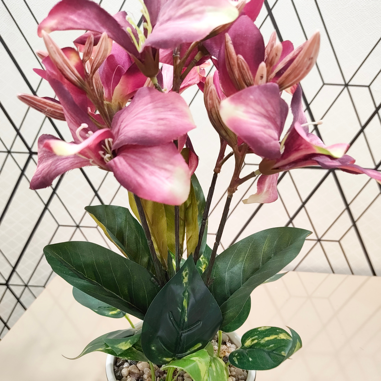 "Crimson Zenith" Luxe Orchid & Foliage Arrangement: Modernist Striped Cachepot with Perpetual Blooms
